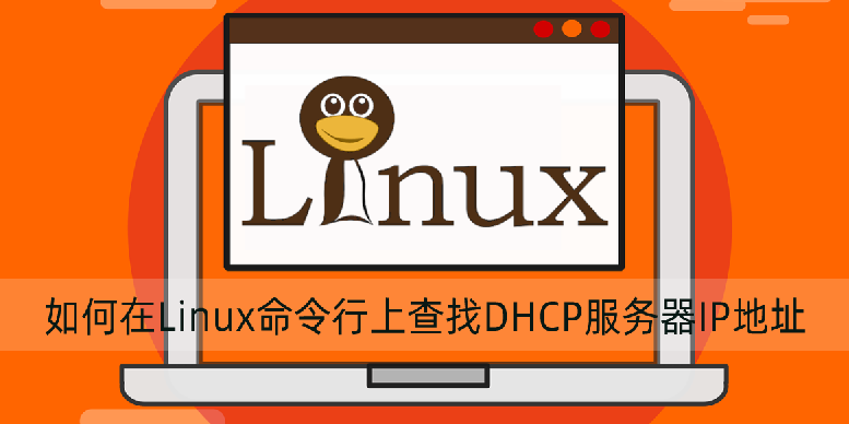 如何在linux命令行上查找dhcp服务器ip地址 A5数据